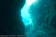 BVI Diving-0377